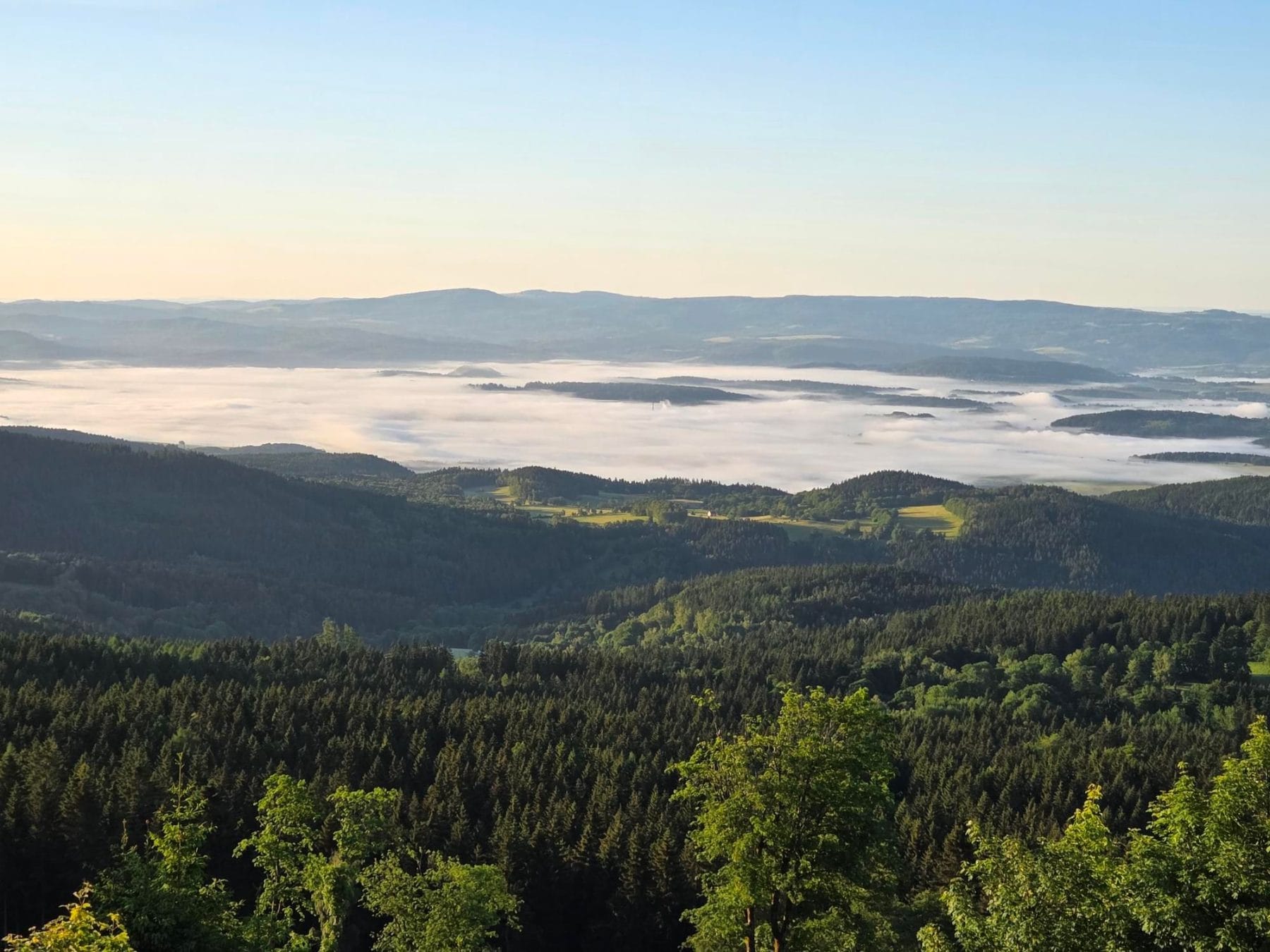 Ranní inverze nad lesy